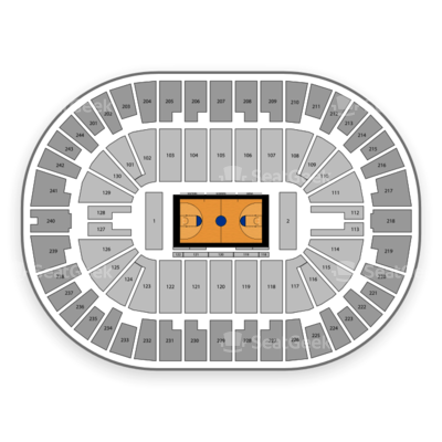 Siena Saints vs. Albany Great Danes Tickets | 9th December | MVP Arena ...